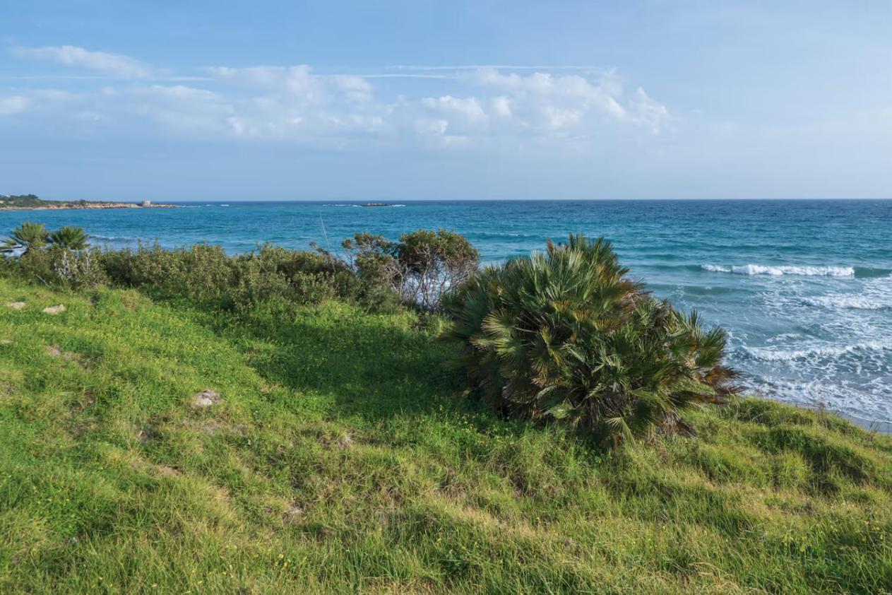 Villa Fratelli Arenella  Dış mekan fotoğraf